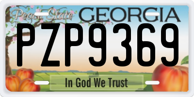 GA license plate PZP9369