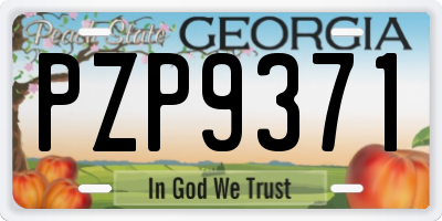 GA license plate PZP9371