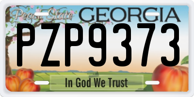 GA license plate PZP9373