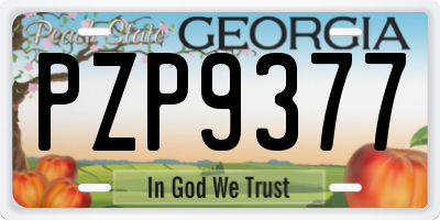 GA license plate PZP9377