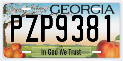 GA license plate PZP9381