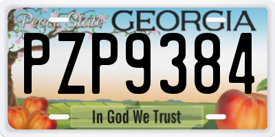 GA license plate PZP9384