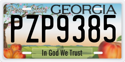 GA license plate PZP9385