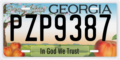 GA license plate PZP9387