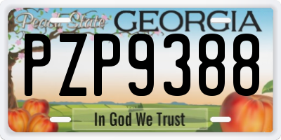 GA license plate PZP9388