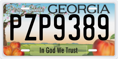 GA license plate PZP9389
