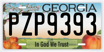 GA license plate PZP9393