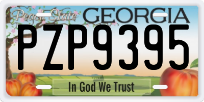 GA license plate PZP9395