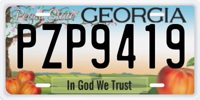 GA license plate PZP9419