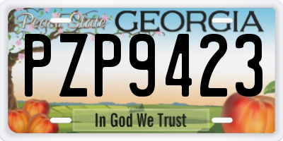 GA license plate PZP9423