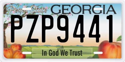 GA license plate PZP9441