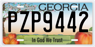GA license plate PZP9442