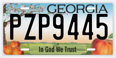 GA license plate PZP9445