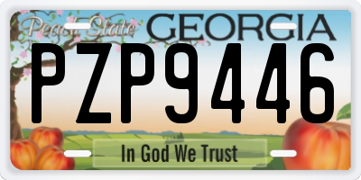 GA license plate PZP9446