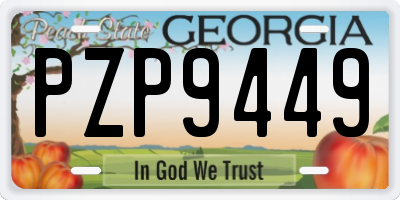 GA license plate PZP9449