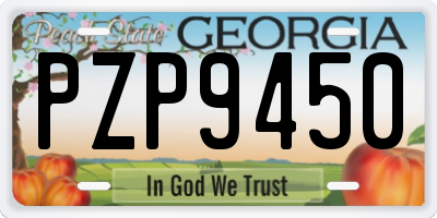 GA license plate PZP9450