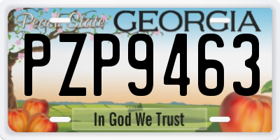 GA license plate PZP9463