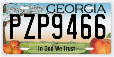 GA license plate PZP9466