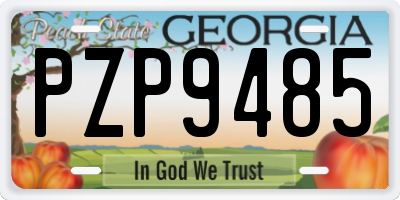 GA license plate PZP9485