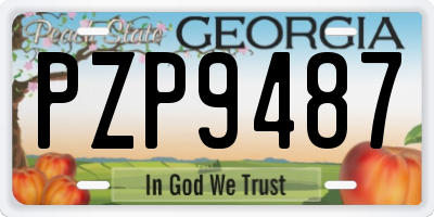 GA license plate PZP9487