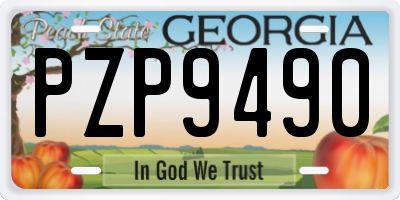 GA license plate PZP9490