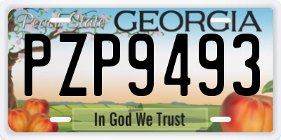 GA license plate PZP9493