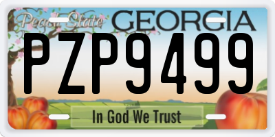 GA license plate PZP9499