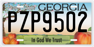 GA license plate PZP9502