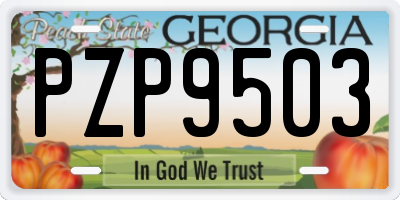 GA license plate PZP9503