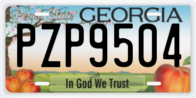 GA license plate PZP9504