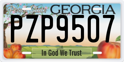 GA license plate PZP9507