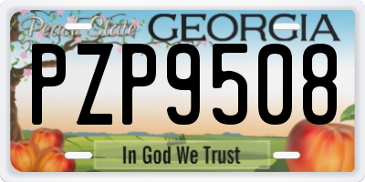 GA license plate PZP9508