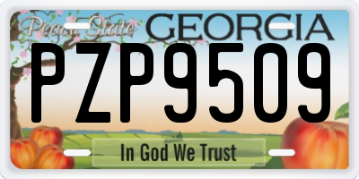 GA license plate PZP9509