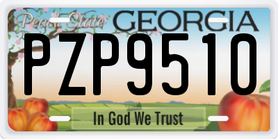 GA license plate PZP9510