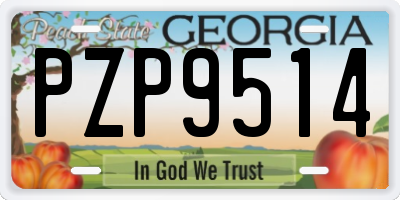 GA license plate PZP9514