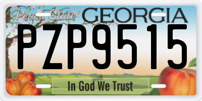 GA license plate PZP9515