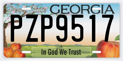 GA license plate PZP9517