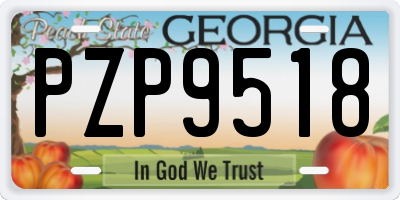 GA license plate PZP9518