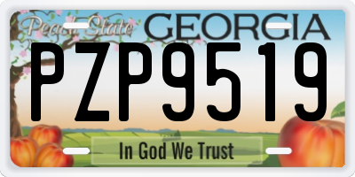 GA license plate PZP9519