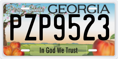 GA license plate PZP9523