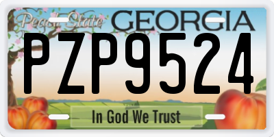 GA license plate PZP9524