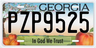 GA license plate PZP9525