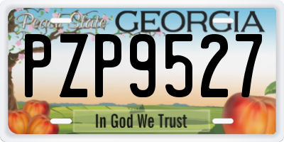 GA license plate PZP9527