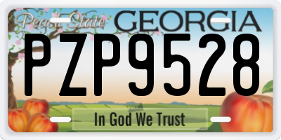 GA license plate PZP9528