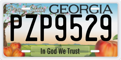 GA license plate PZP9529