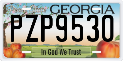 GA license plate PZP9530