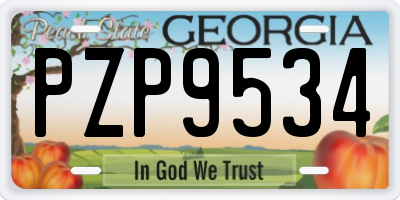 GA license plate PZP9534