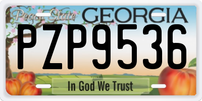 GA license plate PZP9536