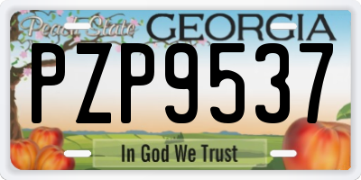 GA license plate PZP9537