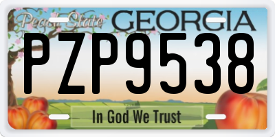 GA license plate PZP9538